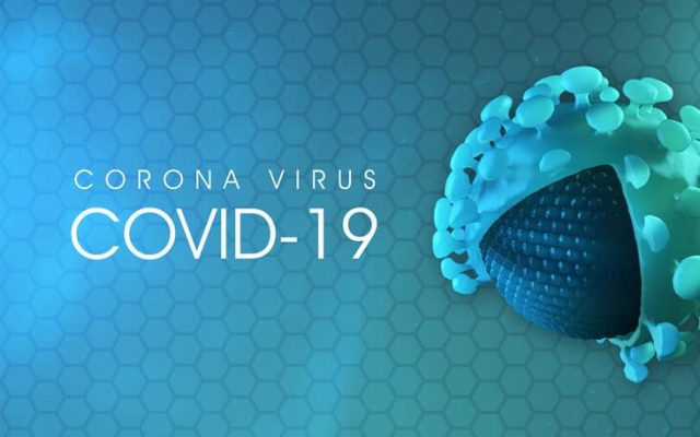 Primary ICT Support Covid-19 Statement for Clients