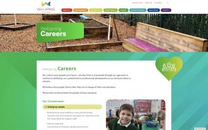 Wellspring-careers