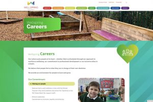 Wellspring-careers