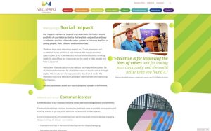 Wellspring-social-impact