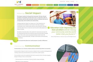 Wellspring-social-impact